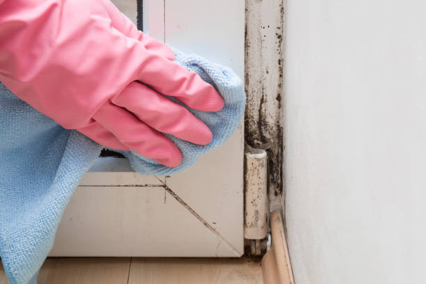 Parkside, PA Mold Inspection, Removal & Remediation Company